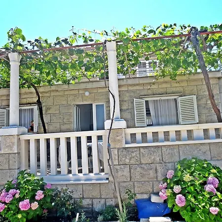 Toncic * 룸바르다